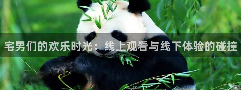 爱丫爱丫电视剧全集免费观看软件：宅男们的欢乐时光：线上观看与线下体验的碰撞