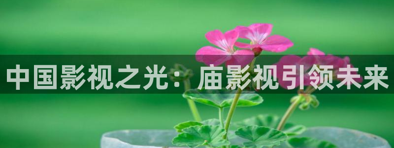 爱丫爱丫免费观看电视剧策驰影院