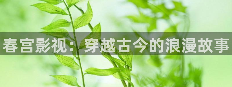 爱丫爱丫在线