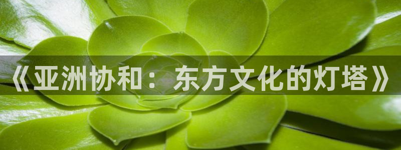 爱丫爱丫在线观看视频