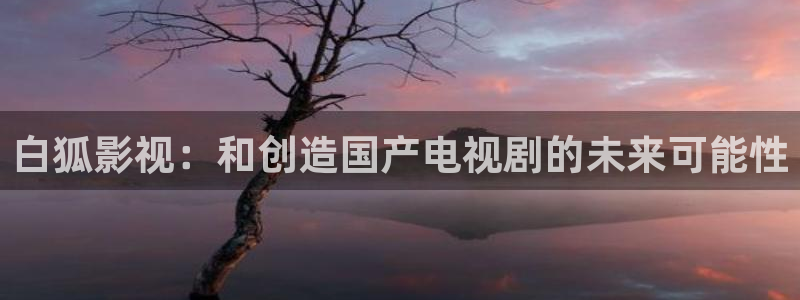 爱丫爱丫电视剧