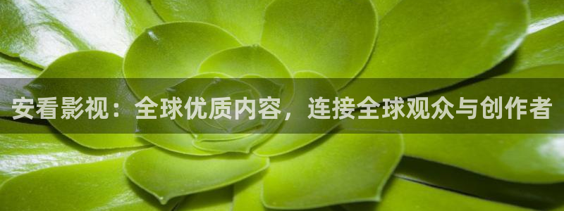 爱丫爱丫影院在线播放高清电视剧