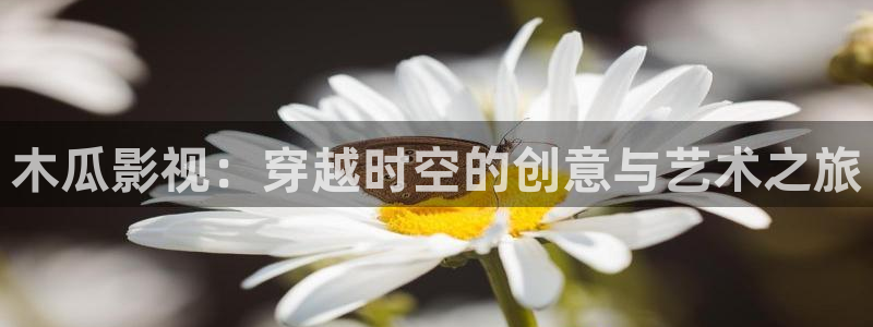 爱丫爱丫兄妹在线影院