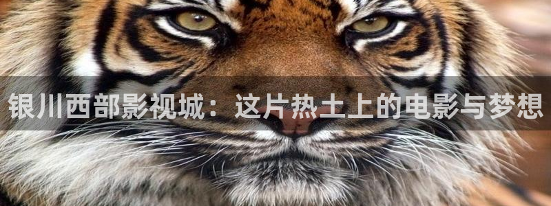 爱丫爱丫电视剧在线观看免费播放动